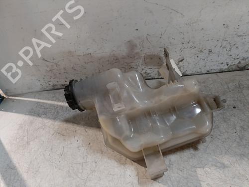 Expansion tank LAND ROVER RANGE ROVER SPORT I (L320) 3.0 D 4x4 | BP29351208C120 