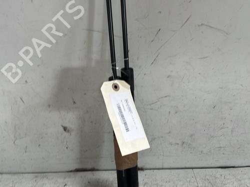 Tailgate lift support DACIA SANDERO II 1.5 dCi | BP25720950C138