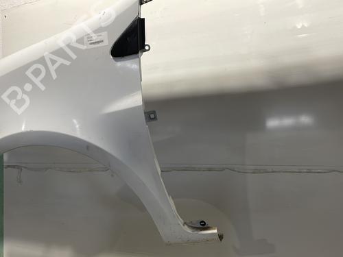 Left front fenders RENAULT CLIO III (BR0/1, CR0/1) 1.5 dCi (C/BR0G, C/BR1G) | BP24222545C41