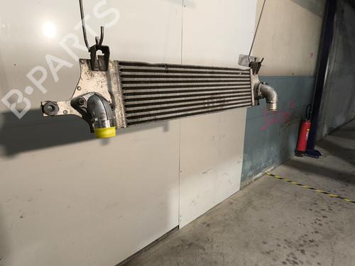 Intercooler Intercooler NISSAN QASHQAI I (J10, NJ10) 2.0 dCi (150 hp) 36021777 36021777