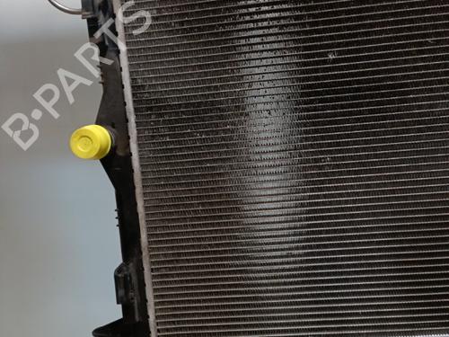 Used Water radiator Water radiator DACIA SANDERO 1.4 MPI LPG (72 hp) 21720630 21720630