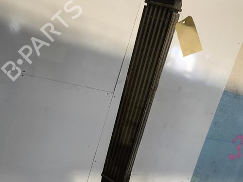 Intercooler Intercooler RENAULT MEGANE III Coupe (DZ0/1_) 1.5 dCi (DZ09, DZ0D, DZ1F, DZ1G, DZ14, DZ29) (110 hp) 33870439 33870439