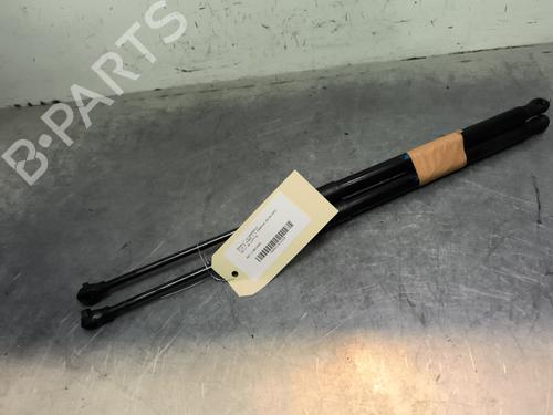 Used Tailgate lift support RENAULT CLIO V (B7_) 1.0 TCe 90 (B7MT) (91 hp) 31972403