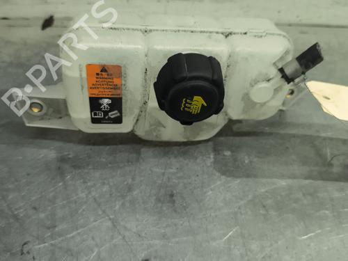 Expansion tank RENAULT KADJAR (HA_, HL_) 1.5 BLUE dCi 115 (HLA6) | BP29732950C120 