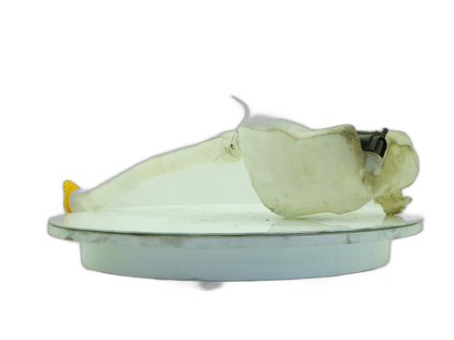Sprinklertank RENAULT MASTER III Van (FV) 2.3 dCi 130 FWD (FV0M, FV0Y, FV0J, FV02, FV03) | BP36846125C113 - Image 4