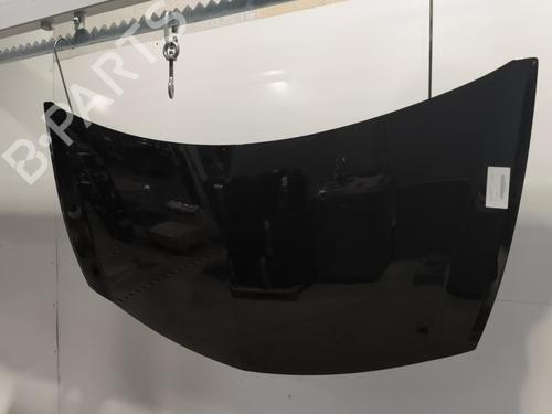 Hood RENAULT CLIO III (BR0/1, CR0/1) 1.2 16V Hi-Flex (BR1U, CR1U) | BP29733636C1 