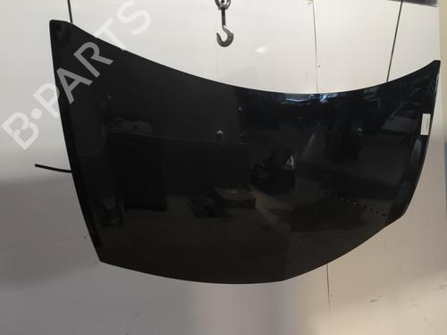 Hood RENAULT CLIO III (BR0/1, CR0/1) 1.2 16V Hi-Flex (BR1U, CR1U) | BP29733636C1 