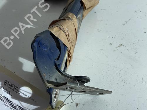 Hinge/Door check strap AUDI A4 B7 Avant (8ED) 2.0 TDI 16V | BP23821969C146 