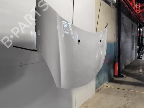 Hood CITROËN C3 II (SC_) 1.6 BlueHDi 100 | BP28443491C1