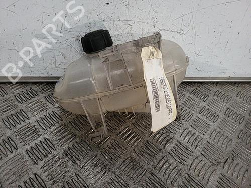 Used Expansion tank RENAULT TRAFIC III Van (FG_) 1.6 dCi 120 (FGMB, FGMC) (120 hp) 21719058
