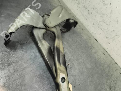 hingedoor-check-strap-vw-tiguan-5n_-2007-2008-2009-2010-2011-2012-2013-2014-2015-2016-2017-2018-32994782 main image