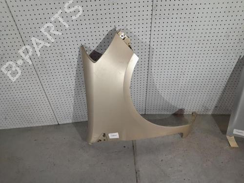 Right front fenders RENAULT CLIO III (BR0/1, CR0/1) 1.5 dCi (BR17, CR17) | BP21706064C42 