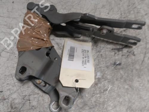 Hinge/Door check strap BMW 3 (E90) 325 d | BP21716927C146 