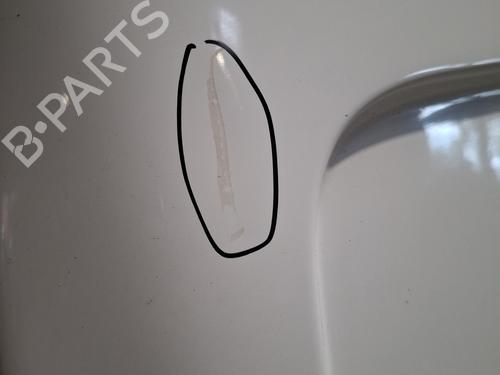 Right tailgate RENAULT TRAFIC II Van (FL) 2.0 dCi 115 (FL01, FL0U, FL00, FL0H, FL0M) | BP29162483C77 