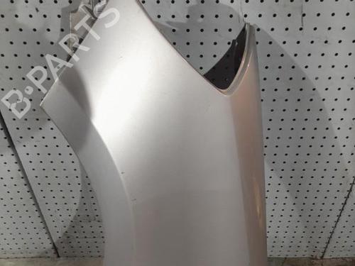 Left front fenders RENAULT CLIO III (BR0/1, CR0/1) 1.2 16V (BR02, BR0J, BR11, CR02, CR0J, CR11) | BP21724844C41 