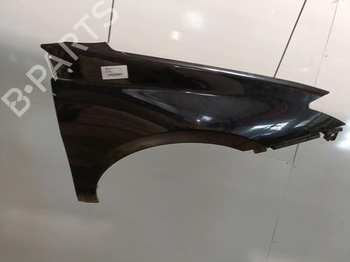 Right front fenders RENAULT LAGUNA III (BT0/1) 1.5 dCi (BT00, BT0A, BT0T, BT1J) | BP29003682C42 