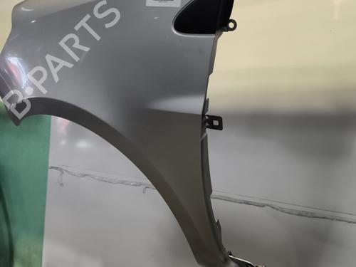 Left front fenders RENAULT CLIO III (BR0/1, CR0/1) 1.5 dCi (BR17, CR17) | BP24477019C41 