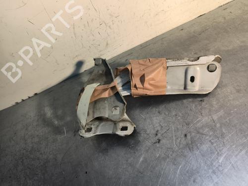 Used Hinge/Door check strap RENAULT TWINGO II (CN0_) 1.2 16V (CN04, CN0B) (75 hp) 30357327