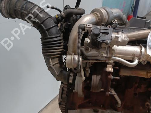 Engine RENAULT MEGANE III Hatchback (BZ0/1_, B3_) 1.5 dCi (BZ09, BZ0D, BZ1W, BZ29, BZ14) | BP28078466M1 