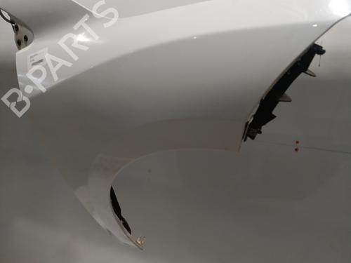 Right front fenders RENAULT MEGANE III Grandtour (KZ0/1) 1.5 dCi (KZ09, KZ0D, KZ1G, KZ29, KZ14, KZ1W, KZ10, KZ1F,... | BP23821921C42 