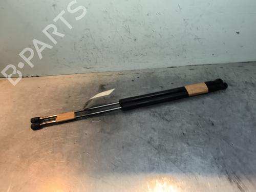 tailgate-lift-support-ford-focus-iv-hn-2018-31257703 main image