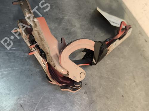 hingedoor-check-strap-citroen-c2-jm_-2003-2004-2005-2006-2007-2008-2009-2010-2011-2012-2013-2014-2015-2016-2017-30357439 main image