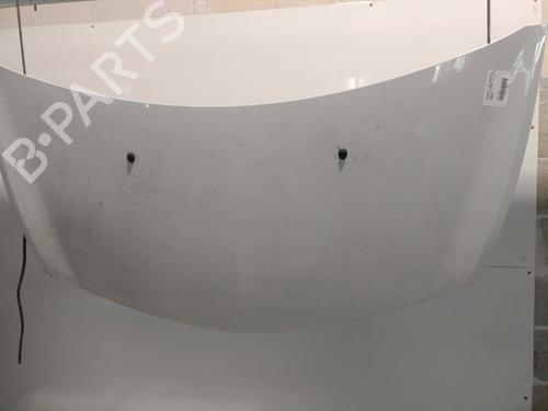 Used Hood RENAULT CLIO III (BR0/1, CR0/1) 1.5 dCi (75 hp) 21716957