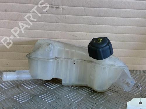 Used Expansion tank RENAULT GRAND SCÉNIC II (JM0/1_) 1.5 dCi (JM1E) (106 hp) 21702925