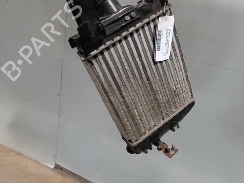Intercooler RENAULT CLIO IV (BH_) 0.9 TCe 90 (BHNF, BHMA, BHMH, BHJK, BHJR) | BP28048237M30 