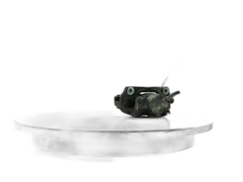 Left front brake caliper RENAULT CAPTUR II (HF_) LPG (HFMT) | BP37755074M105 - Image 3