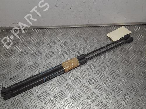 Used Tailgate lift support Tailgate lift support PEUGEOT 1007 (KM_) 1.4 (75 hp) 21701720 21701720