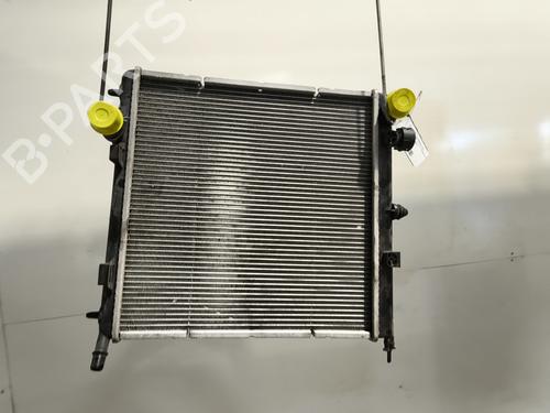 water-radiator-citroen-c3-ii-sc_-2009-33556183 main image
