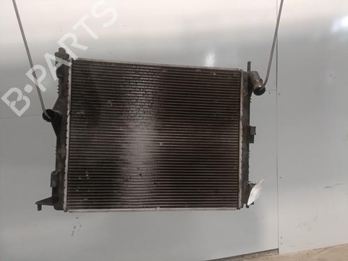 Used Water radiator Water radiator DACIA SANDERO 1.4 (BS0C, BS0A, BS0G, BS1F, BS0E) (75 hp) 29082102 29082102