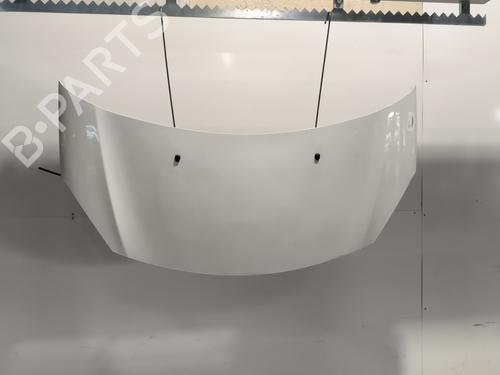 Hood CITROËN C3 II (SC_) 1.6 BlueHDi 100 | BP28443491C1