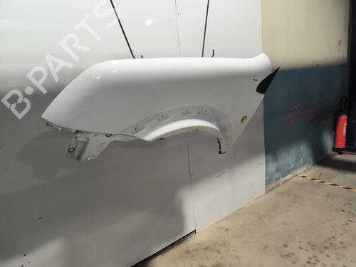 Left front fenders FORD TRANSIT CONNECT (P65_, P70_, P80_) 1.8 TDCi | BP29538029C41 