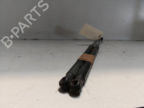 Tailgate lift support AUDI A1 (8X1, 8XK) 1.6 TDI | BP24196216C138 