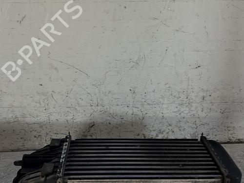 Used Intercooler CITROËN DS3 (SA_) 1.6 HDi 110 (112 hp) 26028579