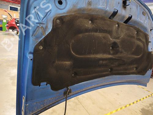 hood-dacia-sandero-ii-2012-36944865 main image