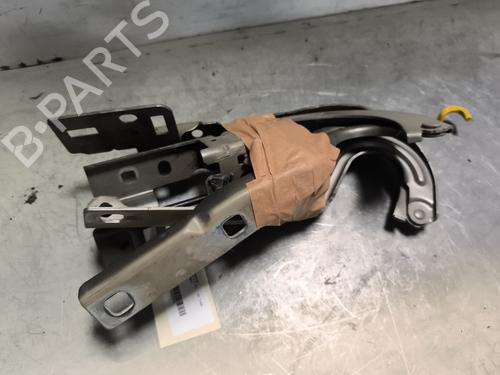 Hinge/Door check strap PEUGEOT 3008 I MPV (0U_) 2.0 HDi 150 / BlueHDi 150 | BP27810064C146 
