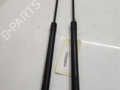 tailgate-lift-support-dacia-sandero-ii-2012-36014953 main image