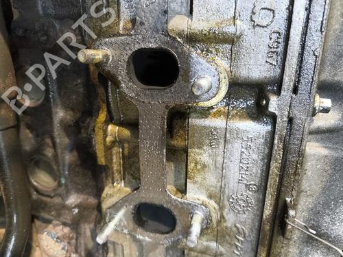 Engine FIAT PANDA (169_) 1.2 (169.AXB11, 169.AXB1A) | BP30552619M1 - Image 4