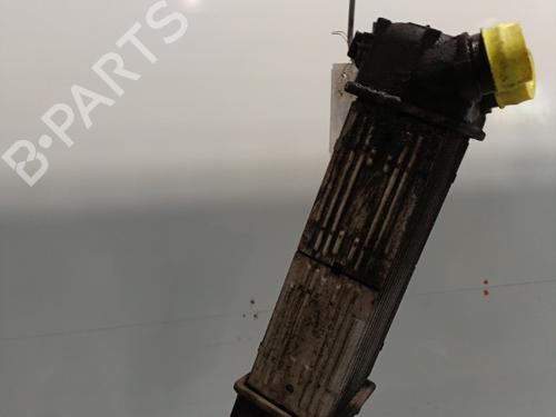 Used Intercooler Intercooler PEUGEOT 307 Break (3E) 1.6 HDi 110 (109 hp) 21693176 21693176