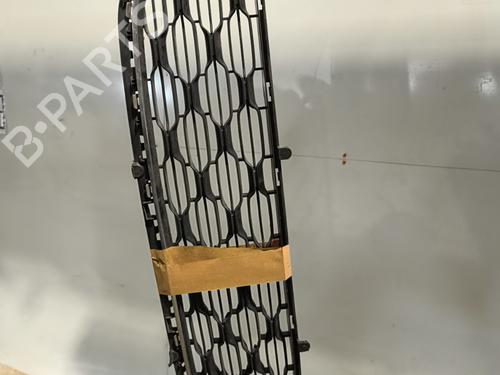 Grill CITROËN C3 II (SC_) 1.4 HDi 70 (SC8HZC, SC8HR0, SC8HP4) | BP36022066C40 - Image 3