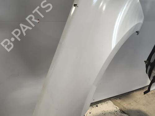 Left front fenders RENAULT LAGUNA III Grandtour (KT0/1) 1.5 dCi (KT0A, KT0R, KT02) | BP25444022C41