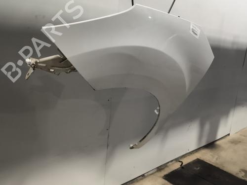 left-front-fenders-citroen-c3-ii-sc_-2009-31872157 main image