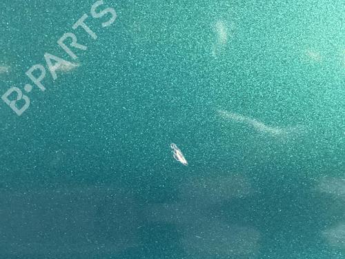 Right front door CITROËN BERLINGO / BERLINGO FIRST MPV (MF_, GJK_, GFK_) 2.0 HDI 90 (MFRHY) | BP21707461C3