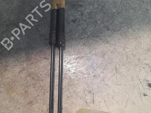 Tailgate lift support AUDI A3 (8P1) 2.0 TDI 16V | BP22518379C138 