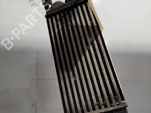 Used Intercooler Intercooler PEUGEOT 508 SW I (8E_) [2010-2018] 36021986 36021986