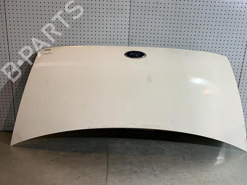 Hood FORD TRANSIT Van (FA_ _) 2.0 DI (FAE_, FAF_, FAG_) | BP21715162C1 