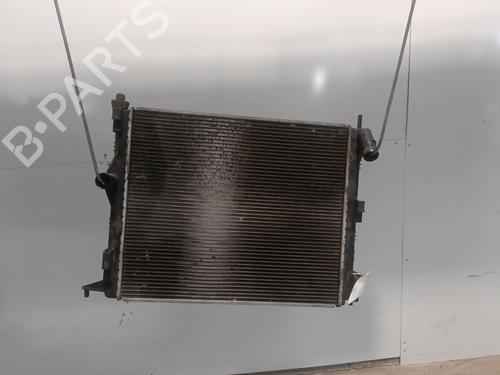 Køler DACIA SANDERO 1.4 (BS0C, BS0A, BS0G, BS1F, BS0E) (75 hp) 29082102